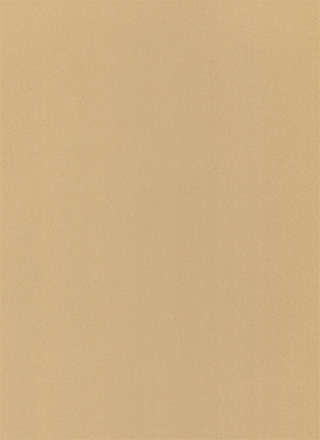 キメの細かい茶色の紙のテクスチャ素材