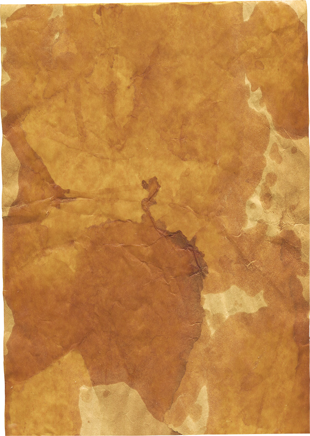 古いアンティークの雰囲気のある蝋引き紙の背景素材 Paper Co 紙の